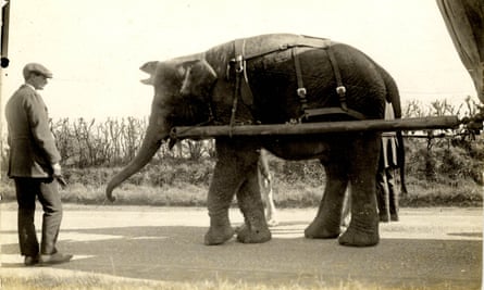 An elephant pulling a carriage