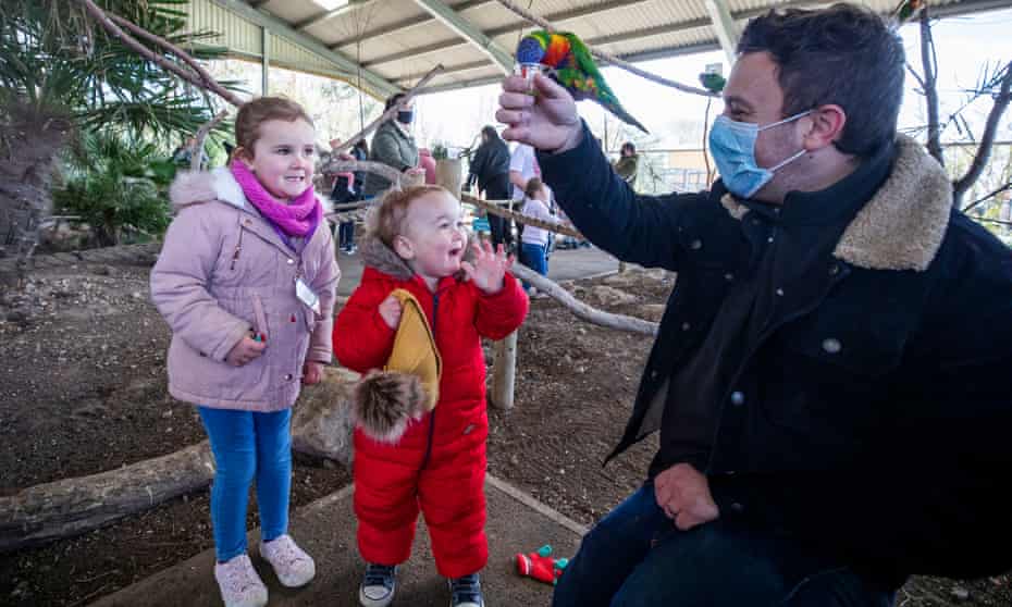Stuart Rose with his children Florence, five, and George, 18 months, feed a lorikeet at Twycross zoo