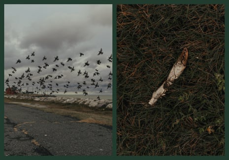 Birds fly near the coast line on Hoopers Island, Maryland. Remnants of crab shells and claws are visible across the landscape of the island.
