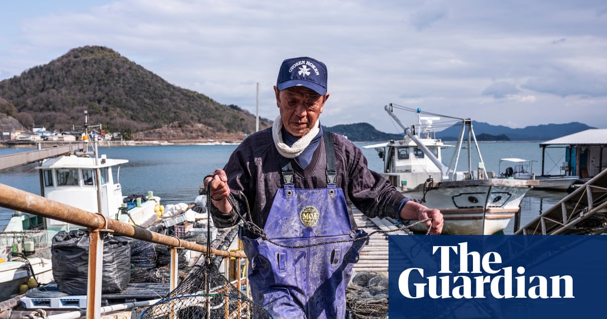 ‘Something out of the ordinary’: why are Japan’s oysters dying en masse?