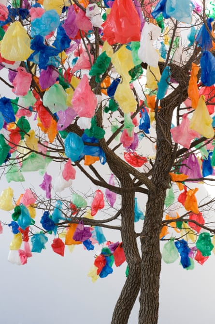 A blossom of bags … Pascale Marthine Tayou’s Plastic Tree B.
