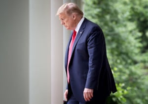 Donald Trump at the White House in Washington DC on 29 May.