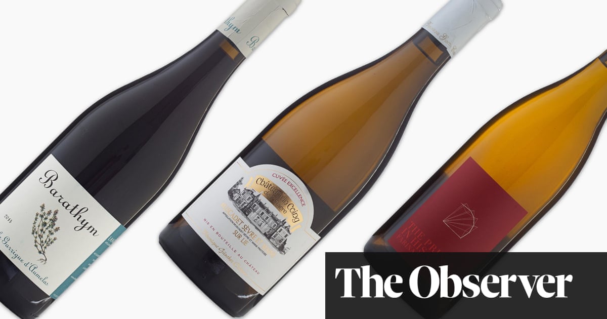 Tasting The Unexpected Wine The Guardian Tasting The Unexpected Wine The Guardian