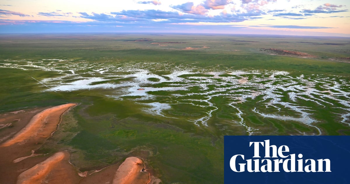 Wildflowers and waterbirds populate Australia’s flood-affected outback – and towns are crying out for visitors | Rural Australia Wildflowers and waterbirds populate Australia’s flood-affected outback – and towns are crying out for visitors | Rural Australia