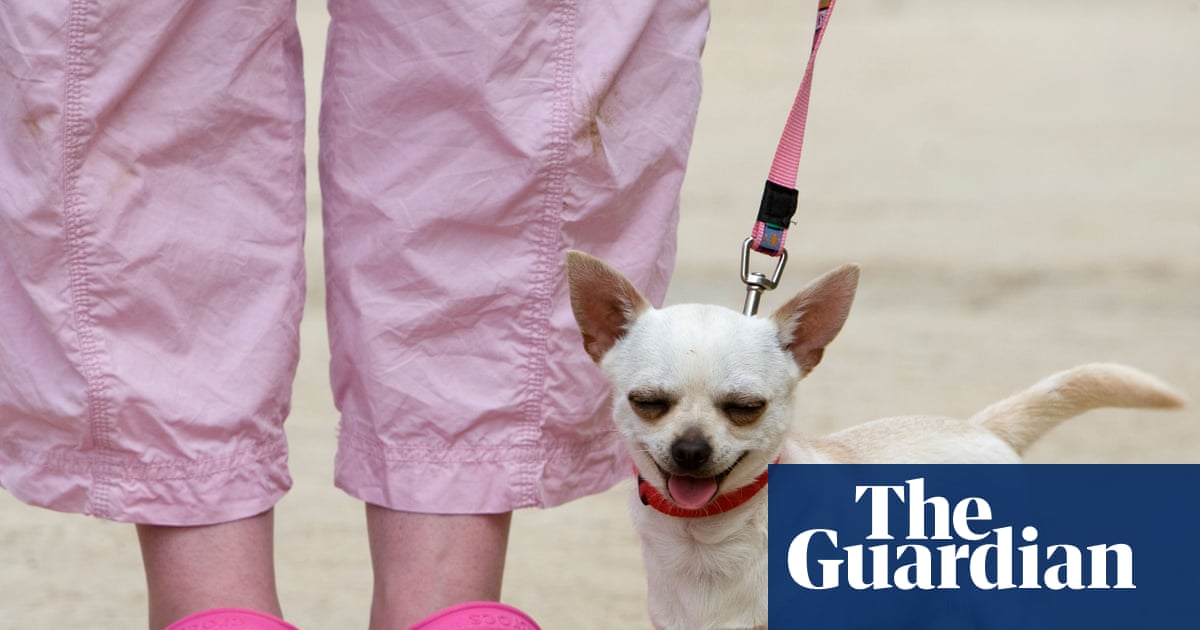 Crocs shares slump 30% amid tariffs and decline of ‘ugly shoe’ trend | Fashion Crocs shares slump 30% amid tariffs and decline of ‘ugly shoe’ trend | Fashion