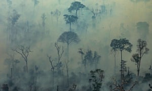 Forest fires in Altamira, Para State, Brazil