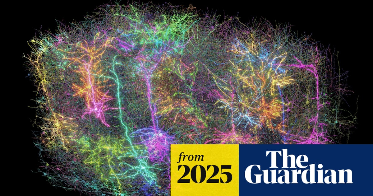 US scientists create most comprehensive circuit diagram of mammalian brain