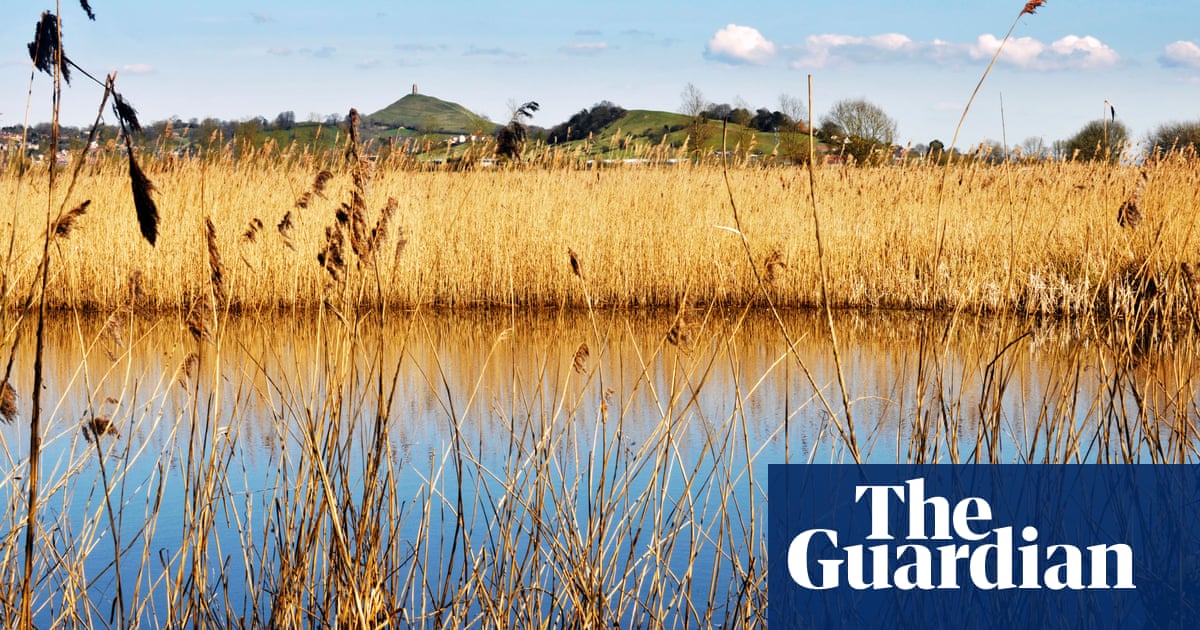 Plan to scrap Natural England will disrupt net zero targets, experts say