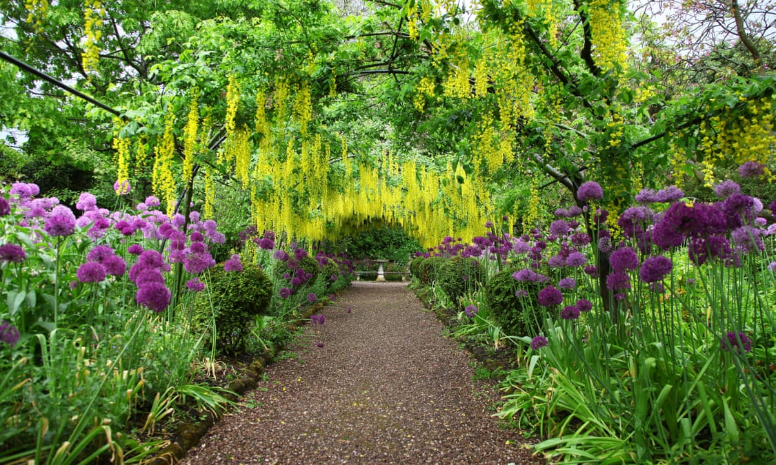 Image result for garden pictures