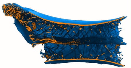 A CT scan of the pterosaur bone showing the spoke-like structures, arranged in a helix around a central tube inside the vertebra