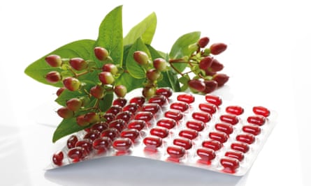 St John’s Wort plant and capsules.
