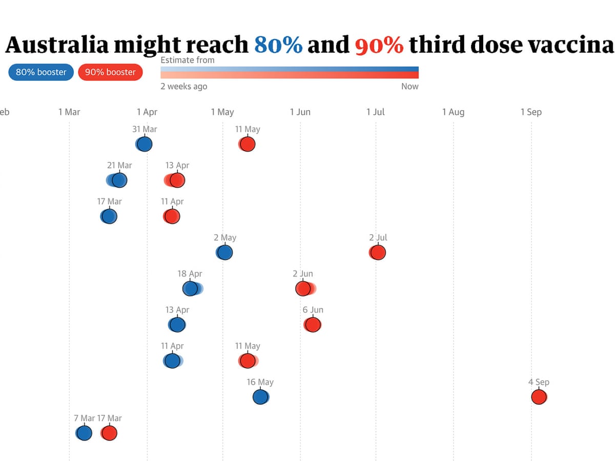 How Often Do Dogs Need Vaccinations Australia how-often-do-dogs-need-vaccinations-australia