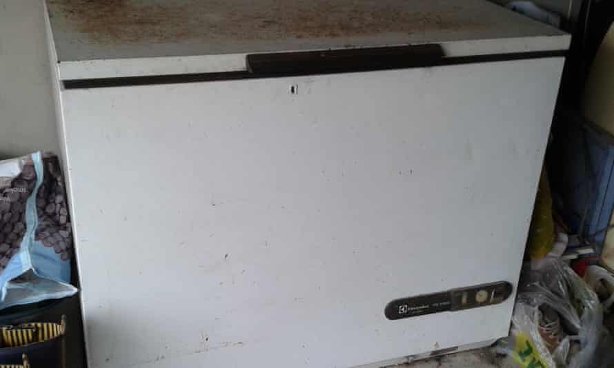 Maggie Vine’s Electrolux chest freezer was bought in 1981 and even survived a flood in her garage.