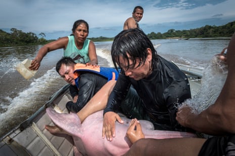 Federico Mosquera, endangered species coordinator from Omacha Foundation, a Colombian non-profit working in wildlife conservation issues, with a captured Amazon river dolphin
