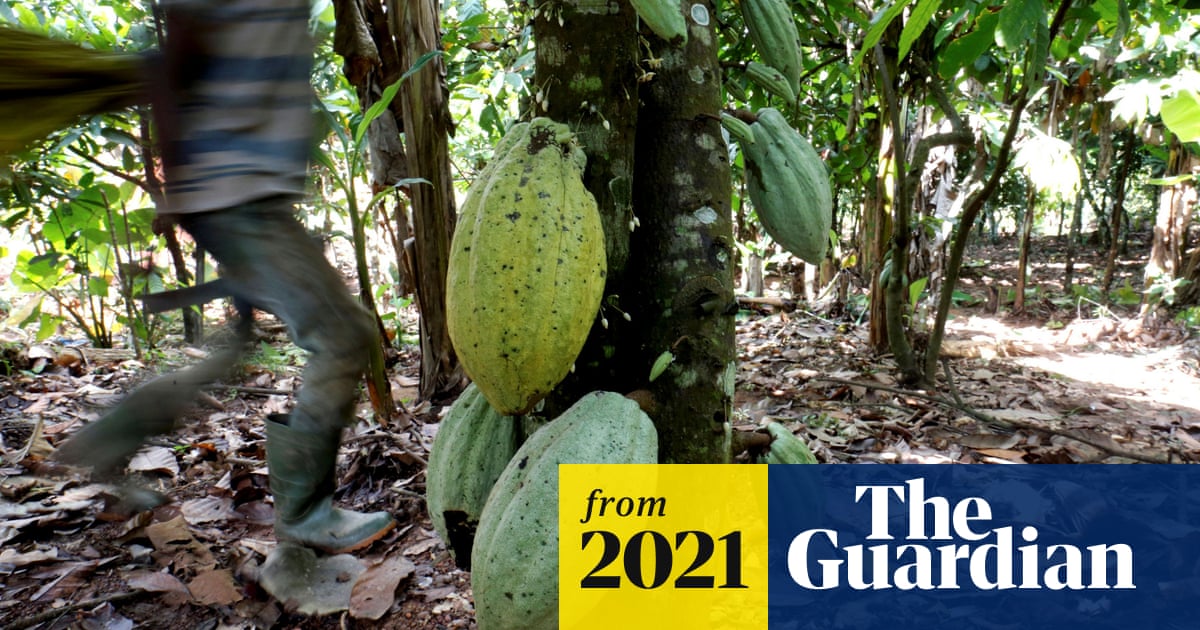 www.theguardian.com