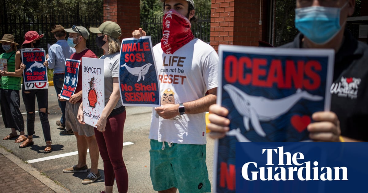 Shell seguirá adelante con las pruebas sísmicas en los criaderos de ballenas después de la victoria en la corte