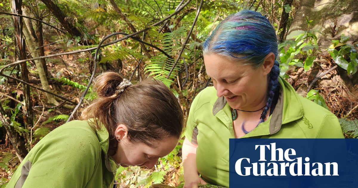 Saving the world's fattest parrot: can New Zealand vaccinate its rare species before bird flu gets to them?