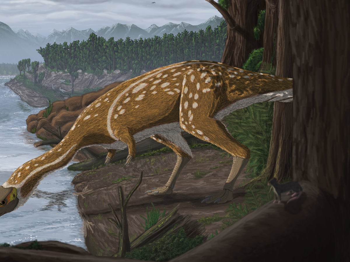 Rare Long Necked Dinosaur That Roamed The Polar World Unearthed In Australia Dinosaurs The Guardian Rare Long Necked Dinosaur That Roamed The Polar World Unearthed In Australia Dinosaurs The Guardian