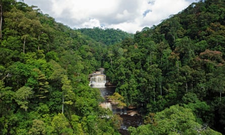 Forests around Maliau River in Malaysian Borneo