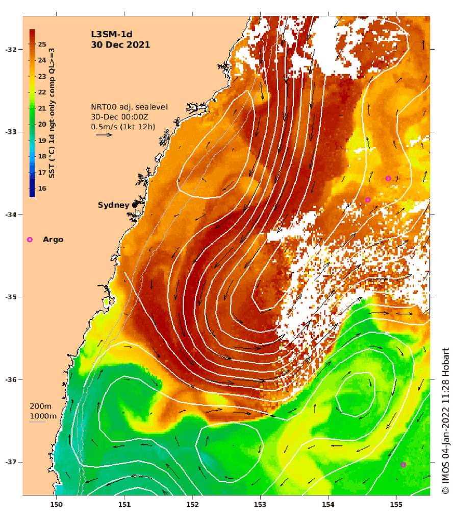 An ocean heatwave depicted in this map off the coast of NSW, Australia