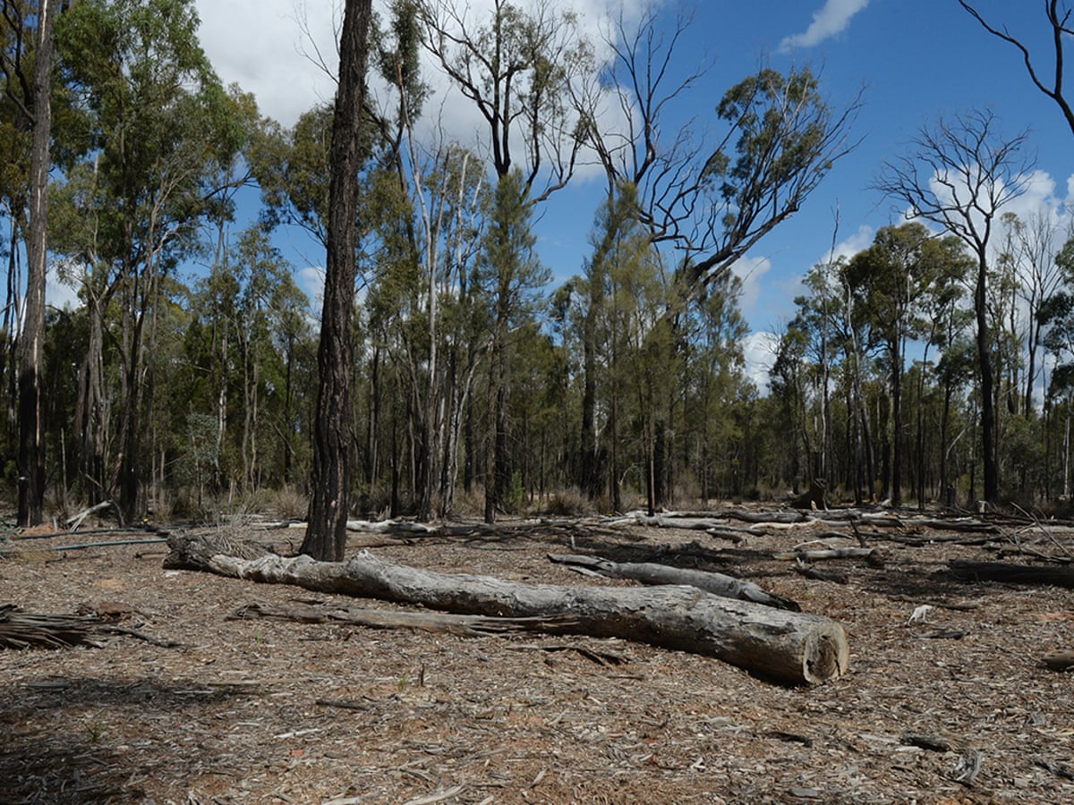 Anger Over Australian Ghost Tour Of Infamous Backpacker Murders Australia News The Guardian