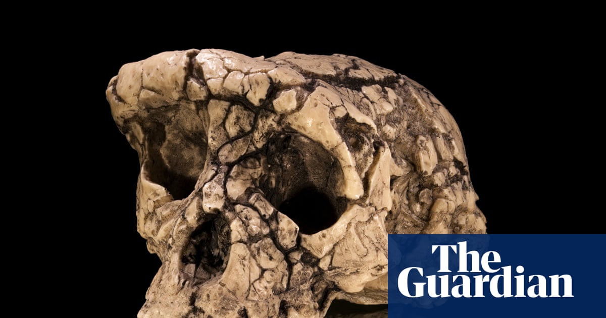 Fresh bone analysis makes case for earliest ‘ancestor of humankind’, but doubts remain