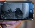 close up of a pair of hands holding a phone showing a bear beneath a home on security camera footage