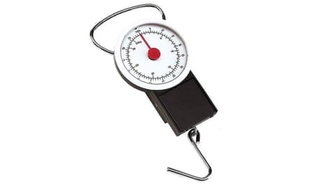 Luggage scale