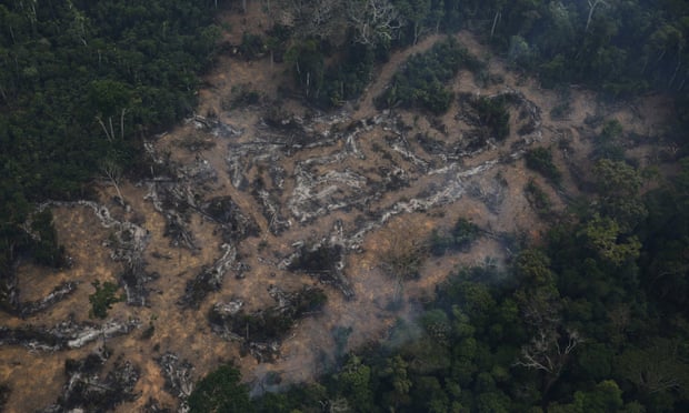 Short article on dangers of deforestation
