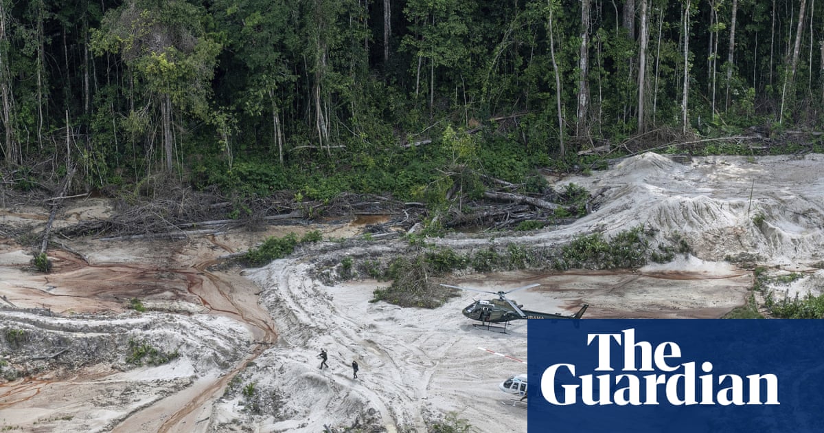 Deforestation of Brazilian Amazon surges to record high