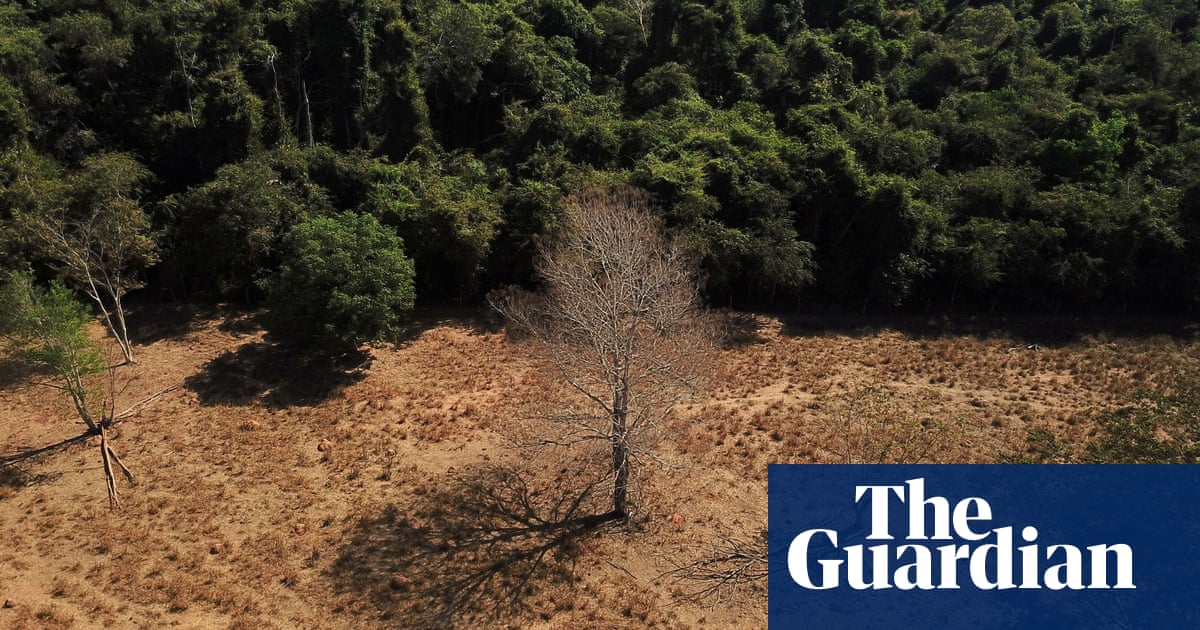 Brazil: deforestation jumps in world’s largest savanna as scientists raise alarm