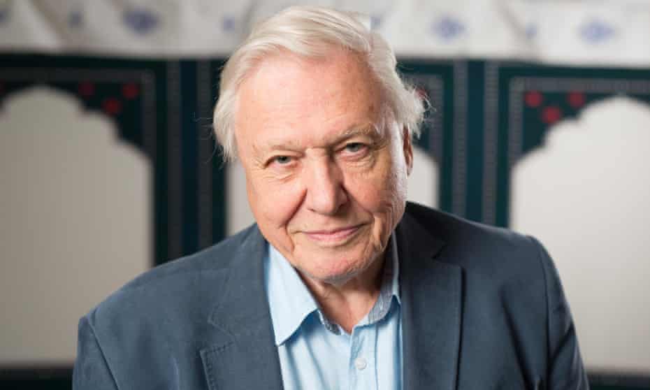 David Attenborough will celebrate his 90th birthday next year with a special BBC show