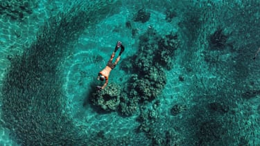 overhead photo of child snorkelling in turquoise water above coral reef surrounded by fish