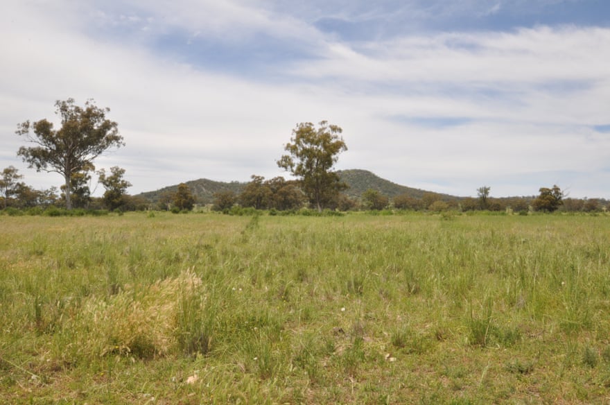 Gomeroi country on the Liverpool plains, west of Watermark Mountain.