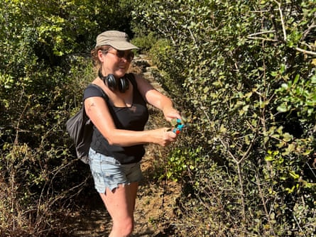 Rhonda Carrier cutting back unruly foliage on the way to Chora.