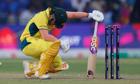 David Warner crouches down in despair after losing his wicket