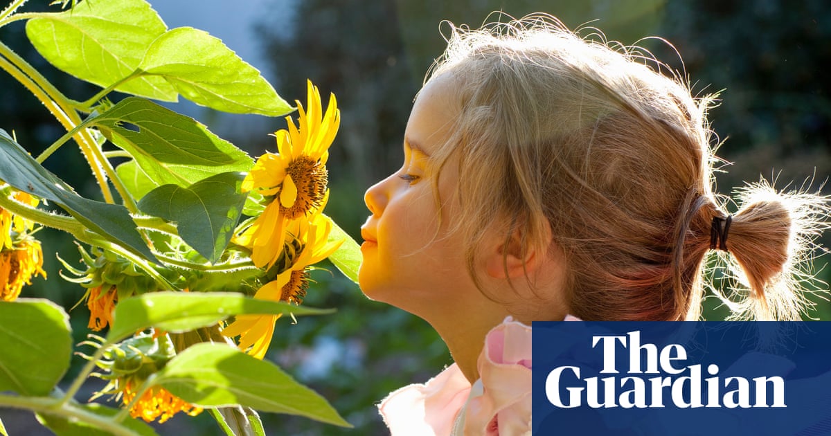 Smelling test: children need education in sniffing aromas, scientist says