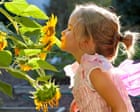 Smelling test: children need education in sniffing aromas, scientist says