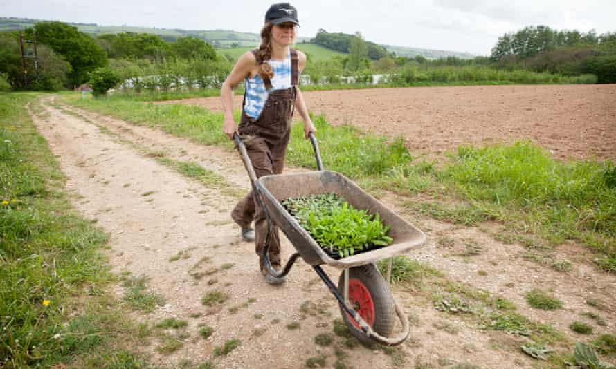 Regenerative farm workers at Huxhams Cross in Dartington, Devon.