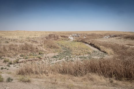 A dry grassy landscape