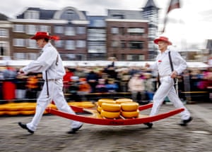 Cheese wheel carriers run carrying rounds of cheese on a sled
