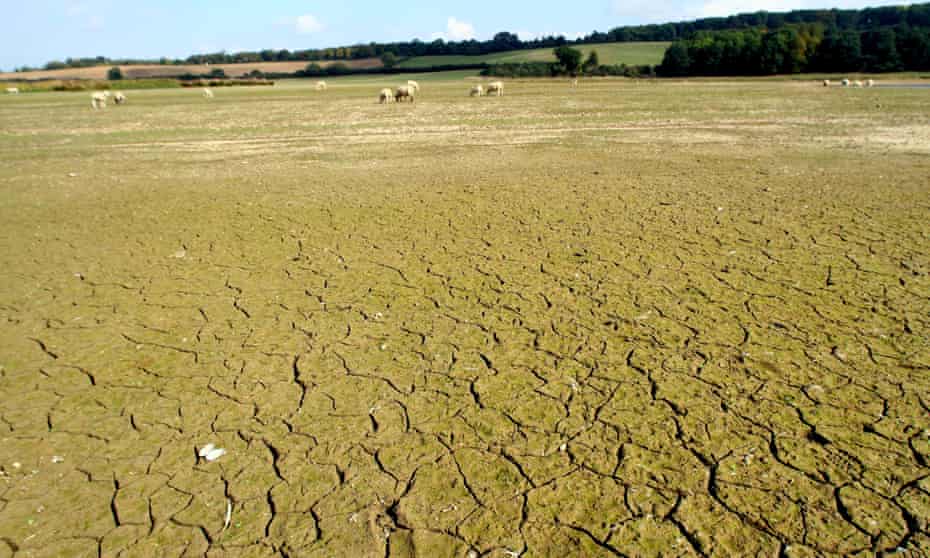 A parched Hollowell reservoir, Northamptonshire, during a severe drought in 2014