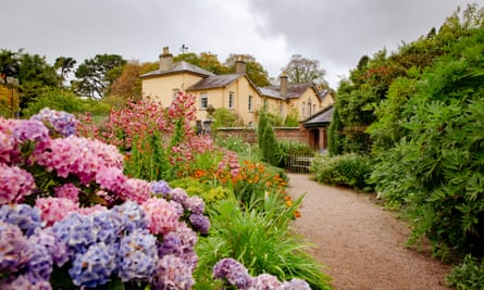 Hydrangeas in the Walled Garden at Rowallane Garden, County Down.