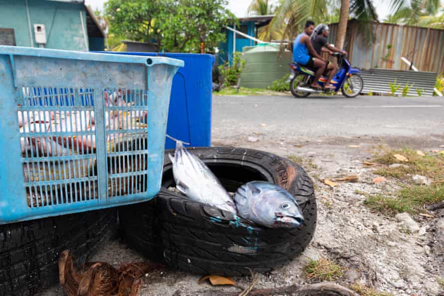 Freshly caught fish lie at the side of the road in Funafuti