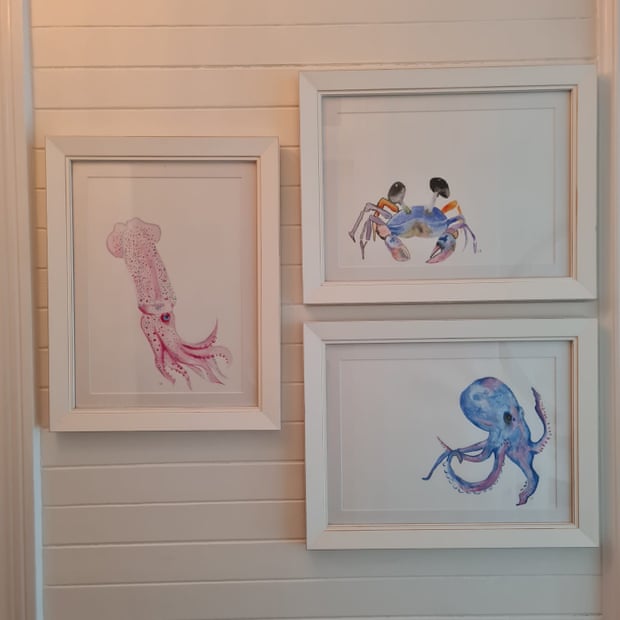 Three watercolors of a calamari, crab and an octopus on white paper, each framed in white; the calamari is painted in pink, the crab in blue, pink and orange and the octopus in purple and blue.