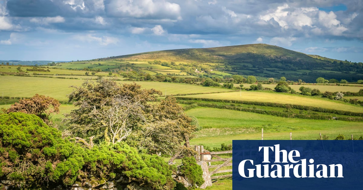 Dartmoor landowner who won wild camping ban may be putting rare beetle at risk