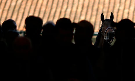 A young horse with apparent potential for racing can change hands for millions.
