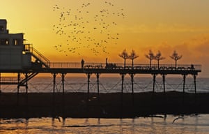 Sunset murmuration over the pier in Aberystwyth, Wales.