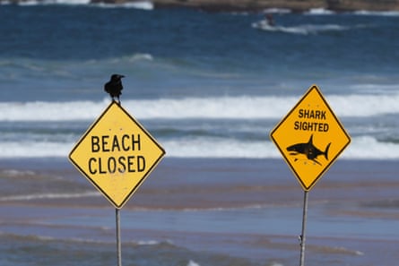 Signs near the site of a fatal shark attack at Dee Why Beach in Sydney, Australia, on Saturday