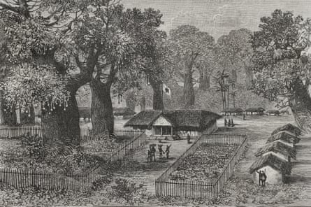 An engraving of baobabs towering over a single storey building and a line of huts surrounded by fenced in fields.